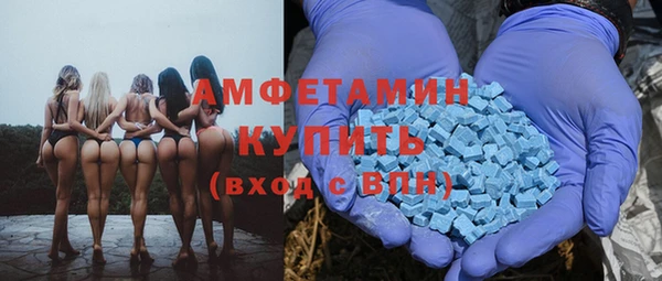 apvp Алзамай