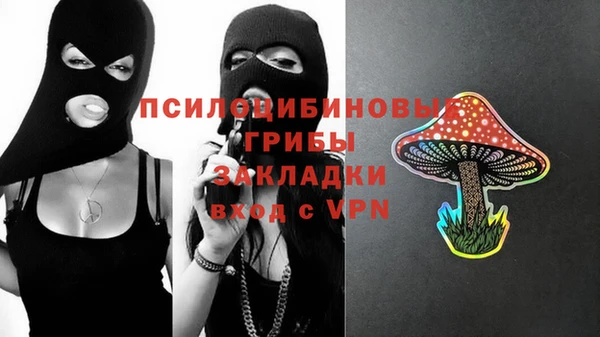 apvp Алзамай