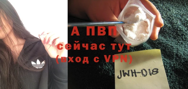 apvp Алзамай