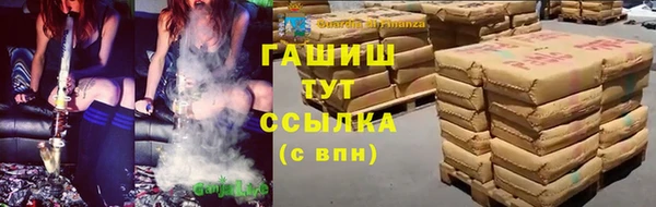 apvp Алзамай