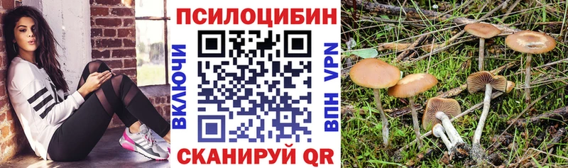 mega ССЫЛКА  Нефтекумск  Галлюциногенные грибы Magic Shrooms  даркнет сайт 